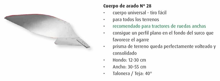 Cuerpo 28
